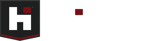 Hisun Motors